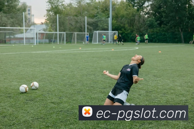 PG电子官网APP 封面图